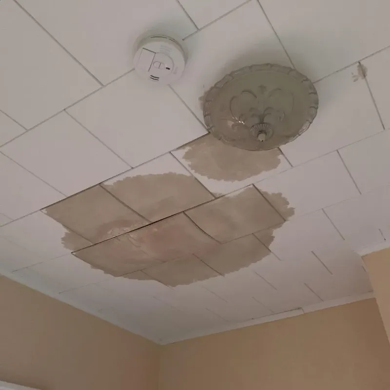 Ceiling Water Damage Repair in Boley, OK