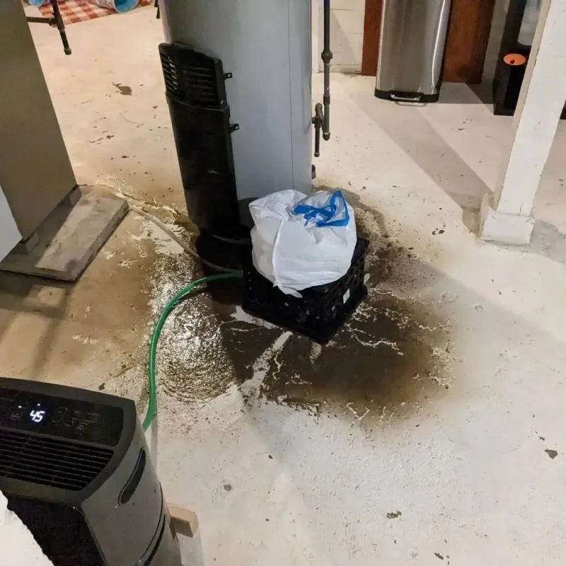 Sewage Backup Cleanup Service in Boley, OK